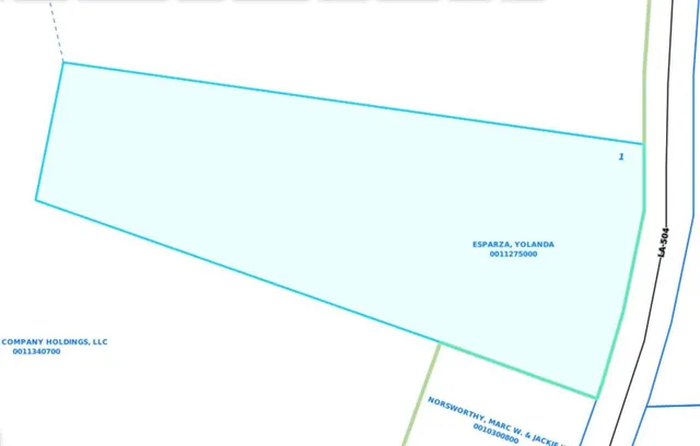 $599,999 | 1670 Highway 504, Natchitoches, LA 71457