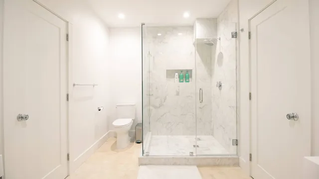 a bathroom with a shower and a toilet