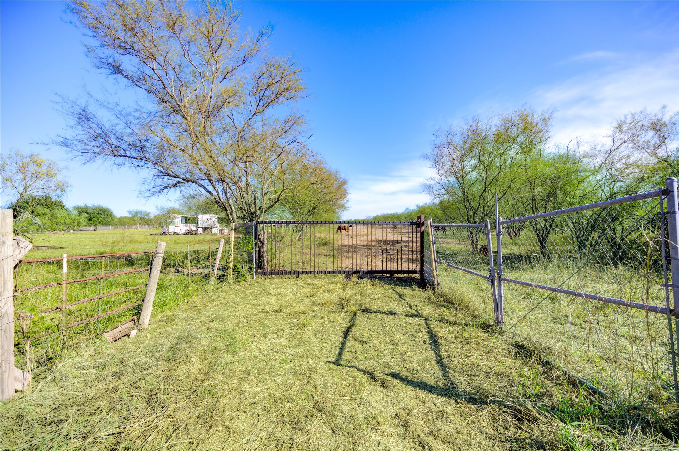 10742-10828 Kerr Road Hempstead, TX 77445 - Photo 9 of 12 a view of yard with swimming pool