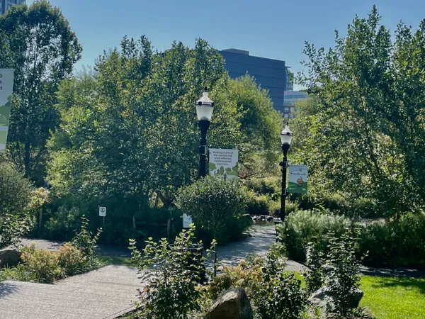 view of a garden with large trees