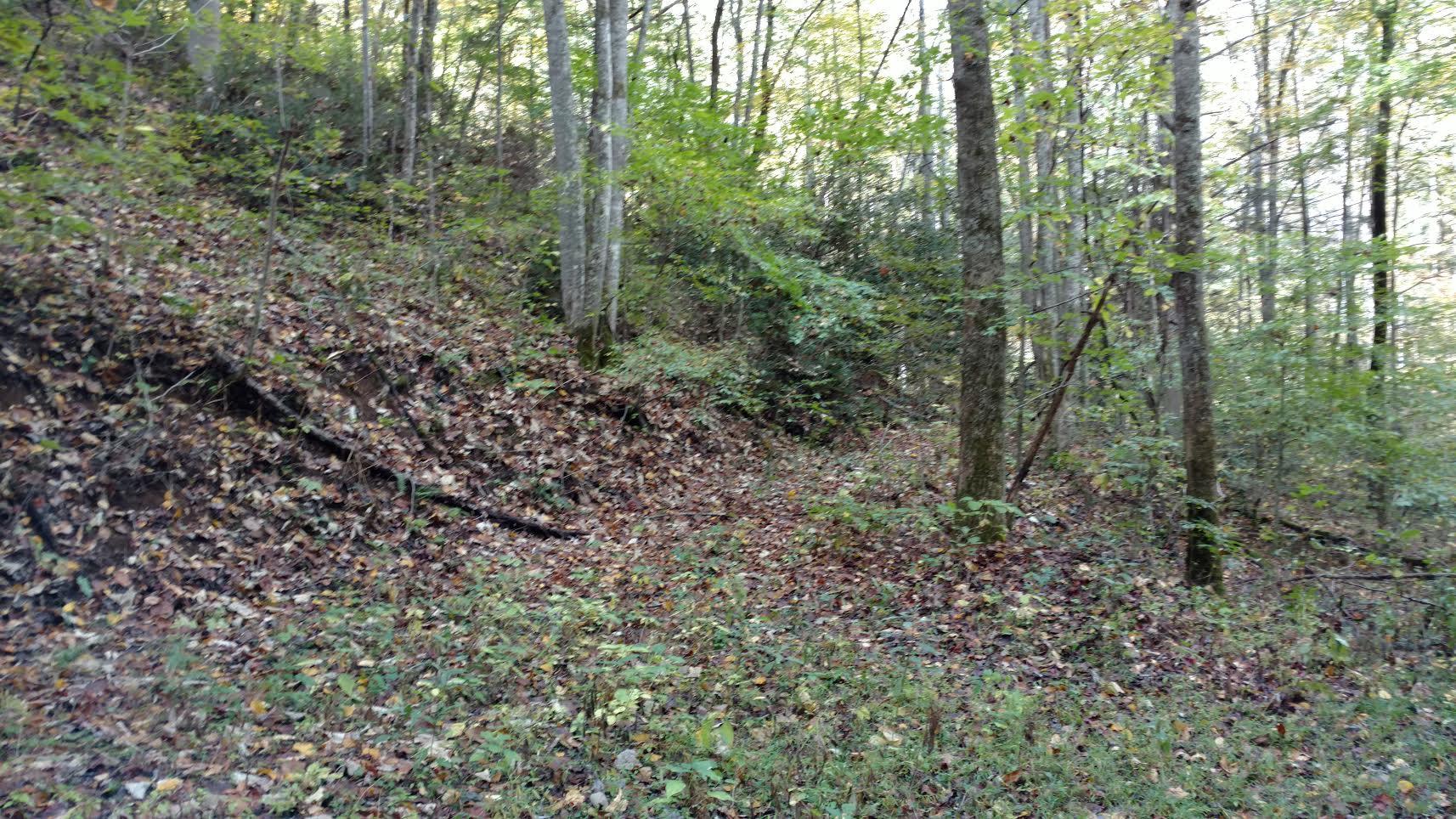 Spring Way Cosby, TN 37722 - Photo 1 of 3 Private & Secluded