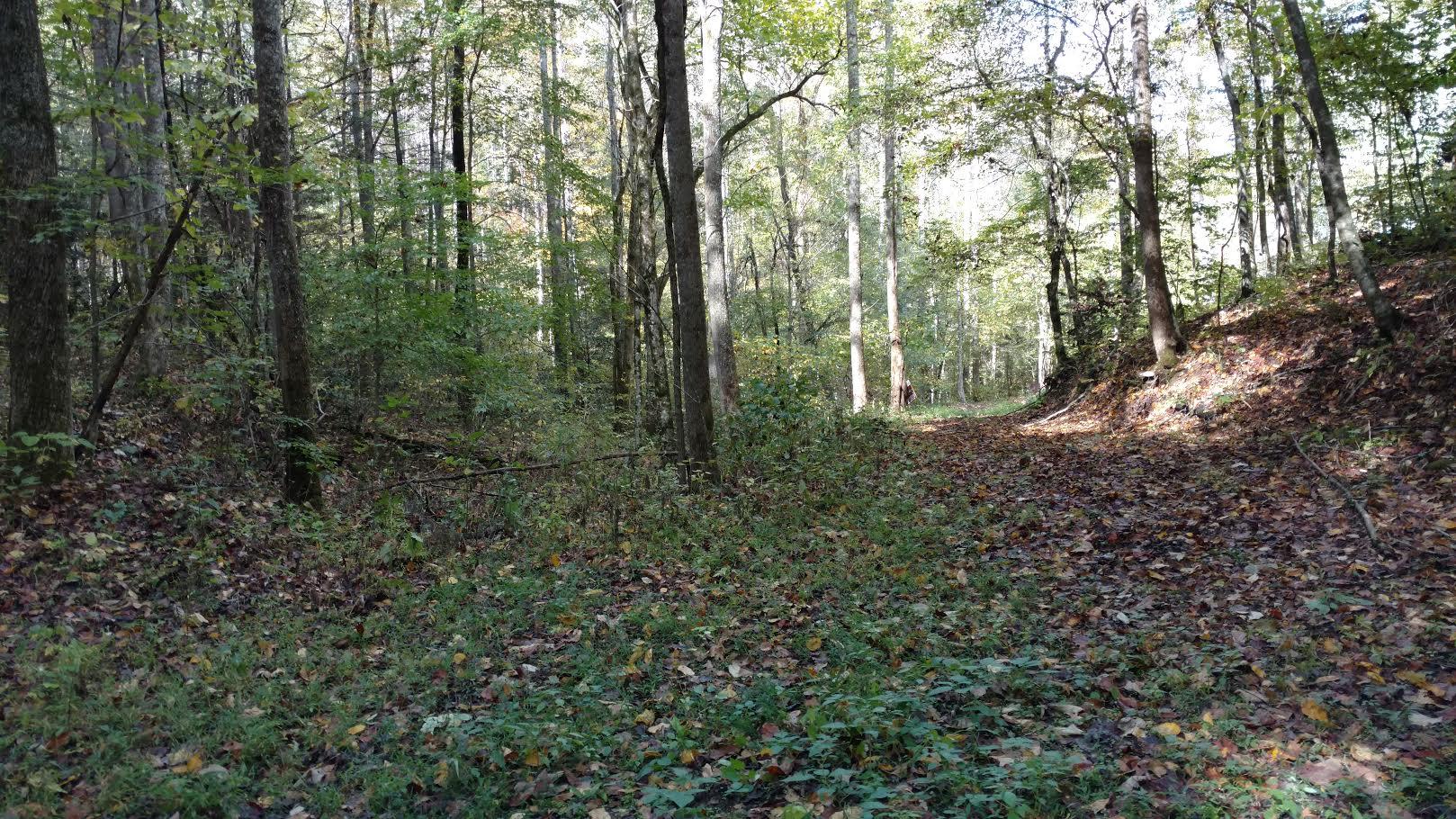 Spring Way Cosby, TN 37722 - Photo 2 of 3 Recorded ROW