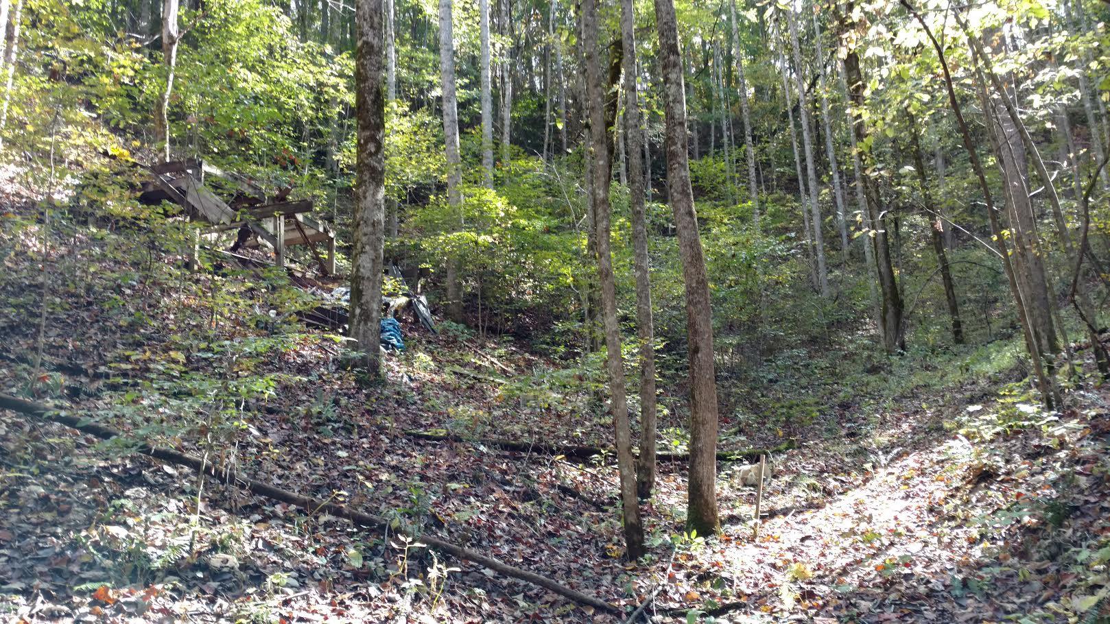 Spring Way Cosby, TN 37722 - Photo 3 of 3 3