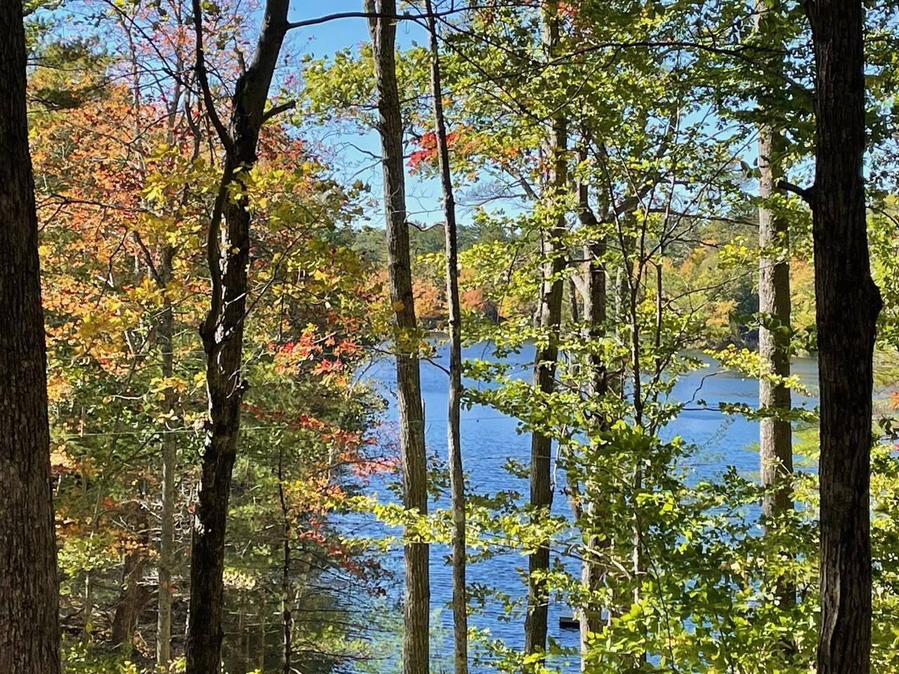 3 Coffee Pond Road Casco, ME 04015 - Photo 3 of 35 IMG_2654