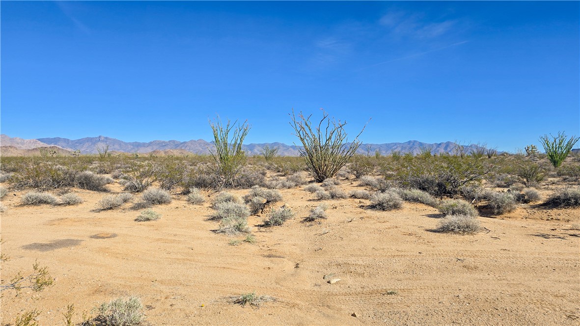 245-21-008 South Ray Road Yucca, AZ 86438 - Photo 9 of 19