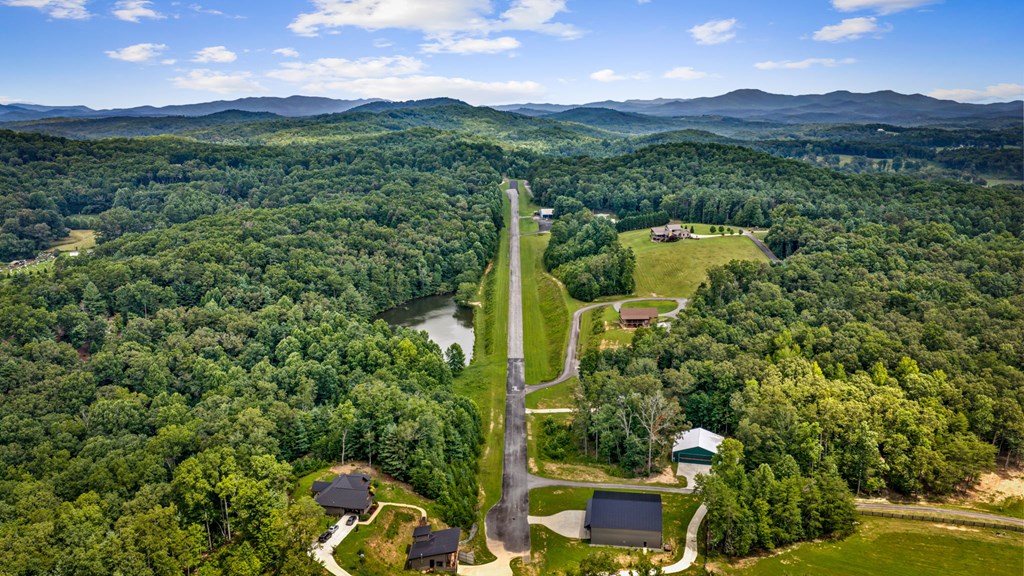 179 Cessna Loop Blue Ridge, GA 30513 - Photo 58 of 111 Gallery Image 58
