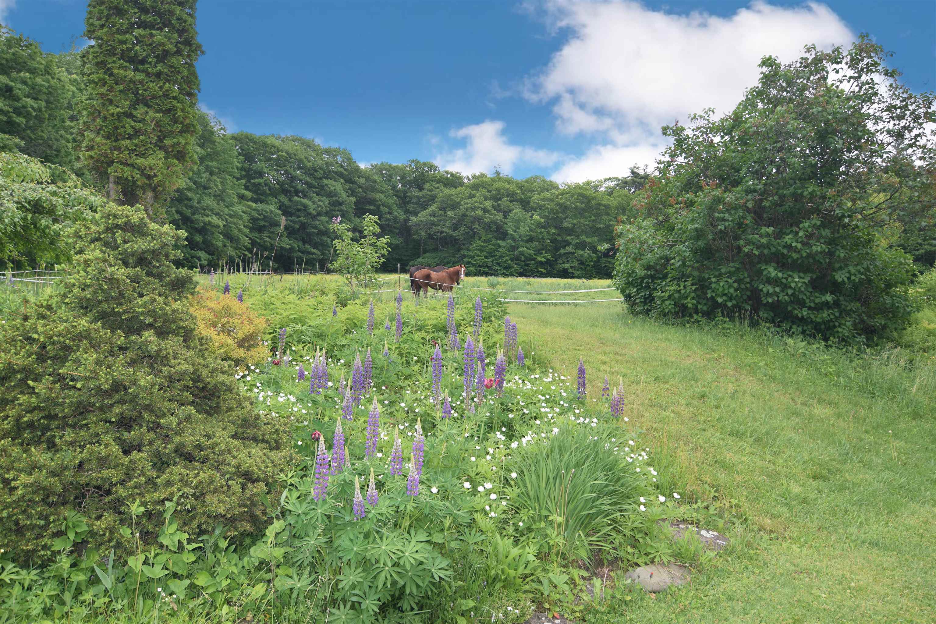 1411 Borough Road Charlestown, NH 03603 - Photo 33 of 40