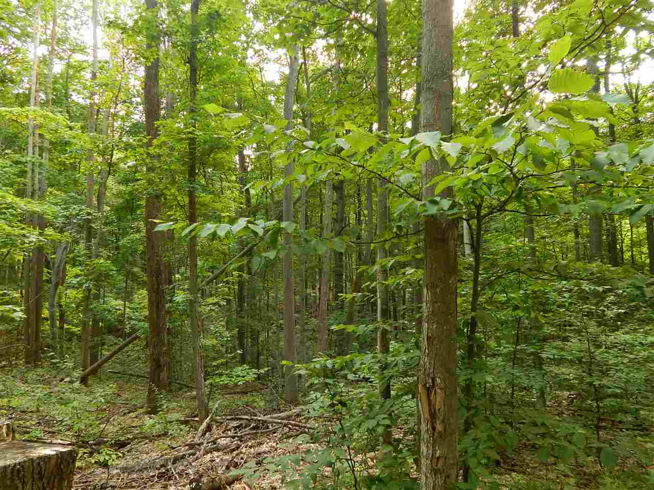 11212 West 26 Â⾠Road Harrietta, MI 49638 - Photo 4 of 64 1823593-3.JPG