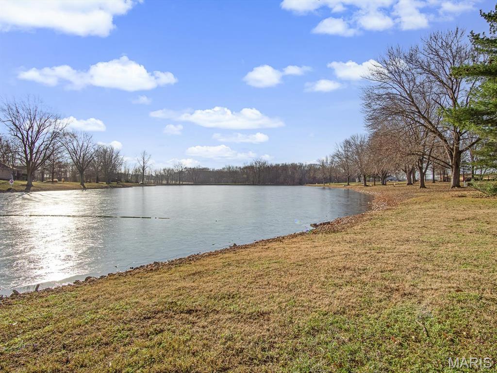 9024 Range Drive New Athens, IL 62264 - Photo 4 of 24