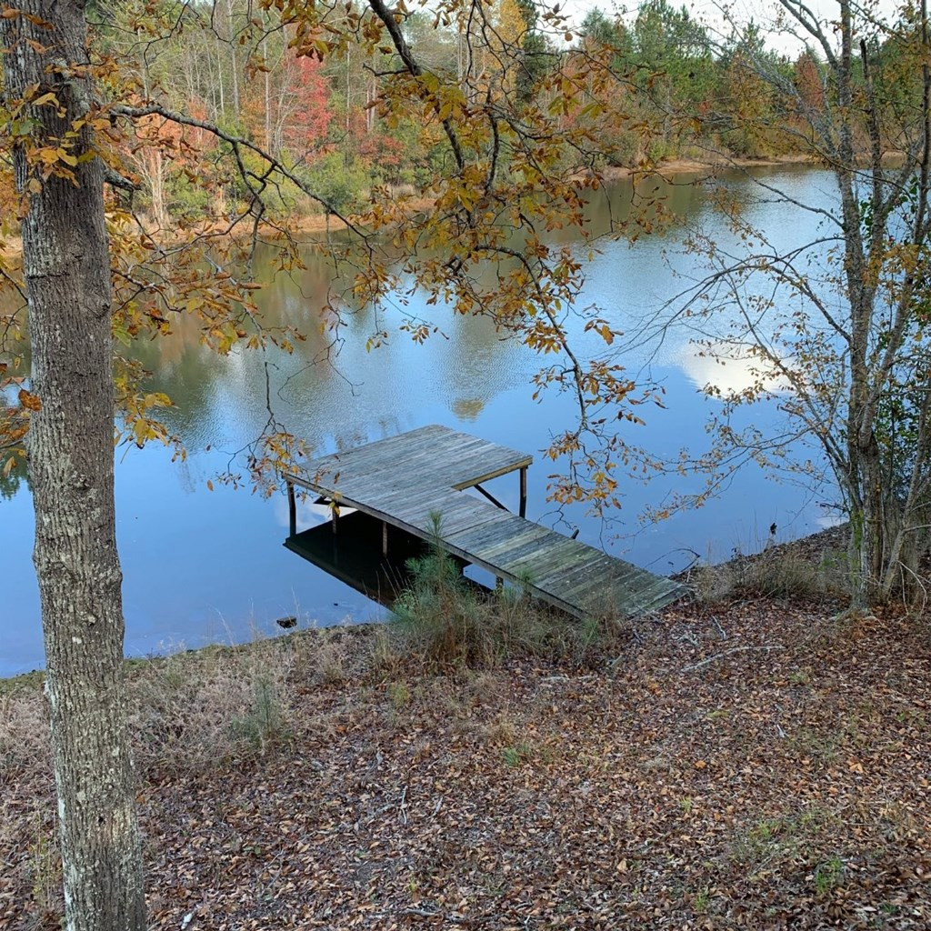 6293 Barford Road Gibson, GA 30810 - Photo 21 of 41