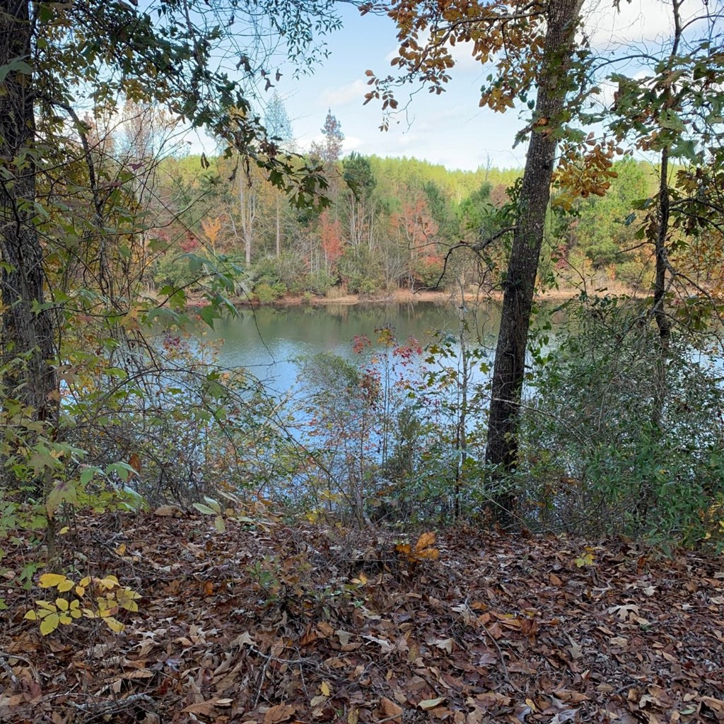 6293 Barford Road Gibson, GA 30810 - Photo 23 of 41