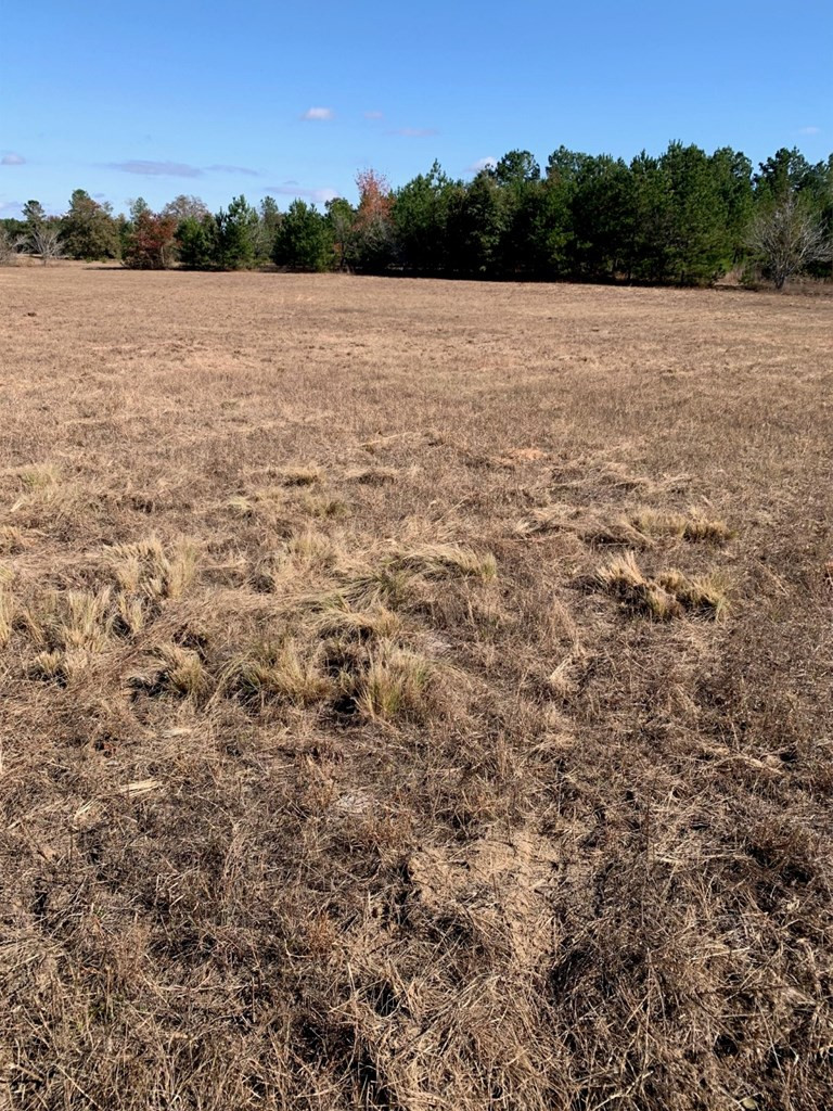 6293 Barford Road Gibson, GA 30810 - Photo 34 of 41