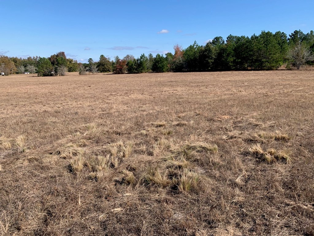 6293 Barford Road Gibson, GA 30810 - Photo 35 of 41
