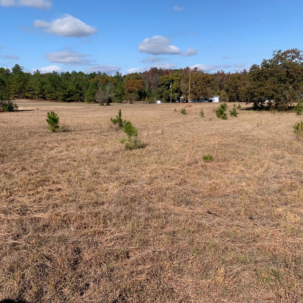 6293 Barford Road Gibson, GA 30810 - Photo 36 of 41