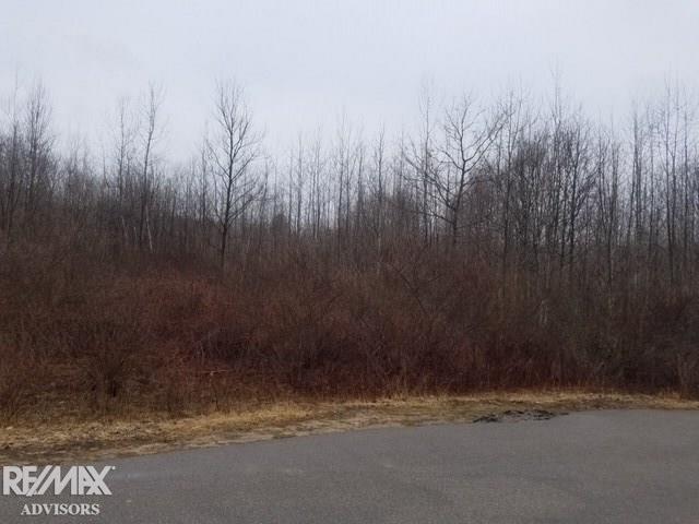 6899 Buck Run Spruce, MI 48762 - Photo 1 of 26