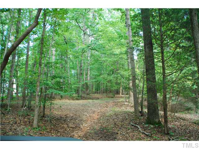 11219 Old Creedmoor Road Raleigh, NC 27613 - Photo 2 of 5 a view of a forest that has large trees