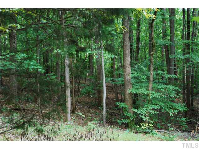 11219 Old Creedmoor Road Raleigh, NC 27613 - Photo 5 of 5 a view of forest