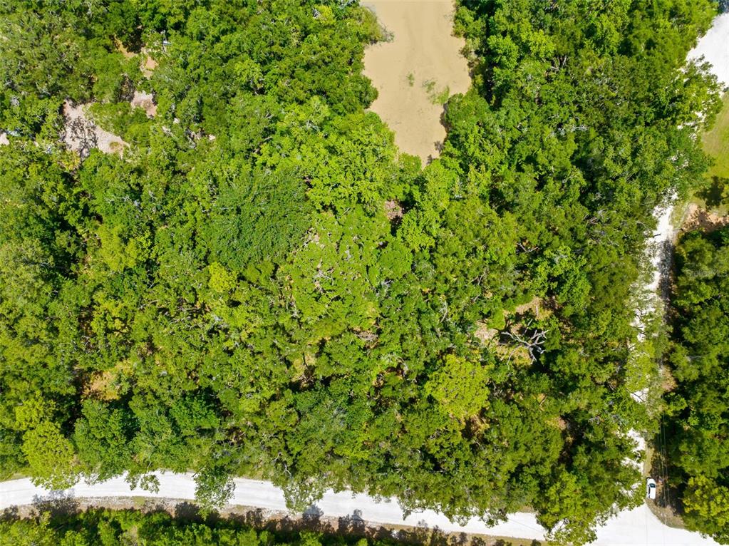 0 Ricebird Avenue, Unit LOT 89 Weeki Wachee, FL 34614 - Photo 15 of 27