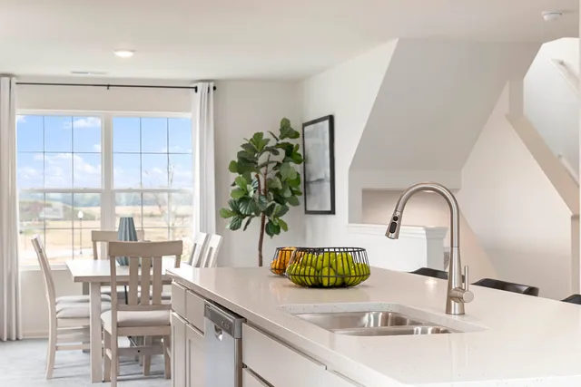 a kitchen with a sink and a potted plant