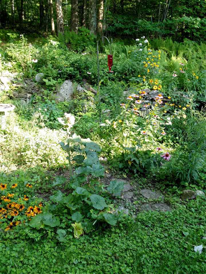 753 Pearl Lee Road Ripton, VT 05766 - Photo 22 of 32