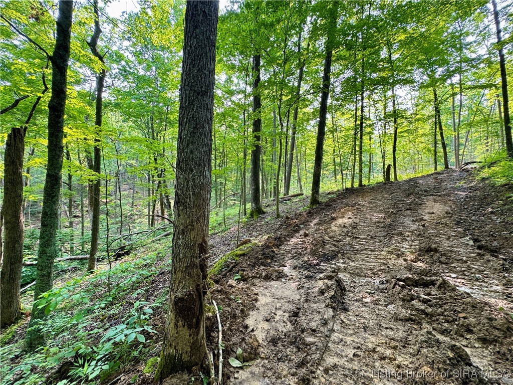 2 In-237 English, IN 47118 - Photo 16 of 20