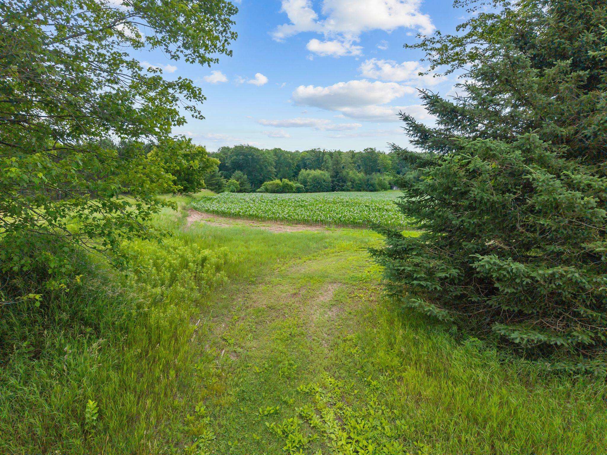 W5999 County Rd T Shawano, WI 54166 - Photo 5 of 38
