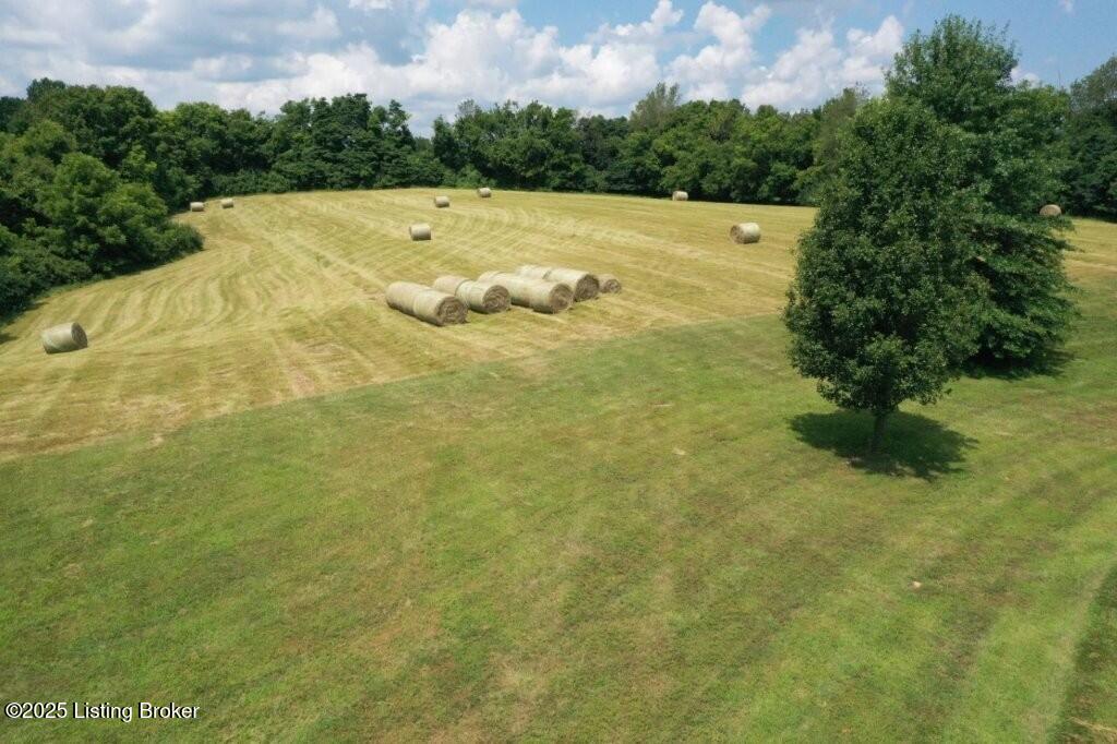 794 Highview Church Road Bloomfield, KY 40008 - Photo 20 of 56 DJI_0425