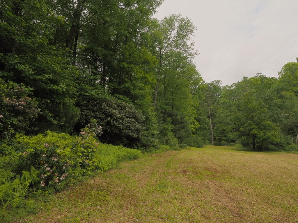 3263 Millstone Road Woodlawn, VA 24381 - Photo 15 of 74 Gallery Image 15