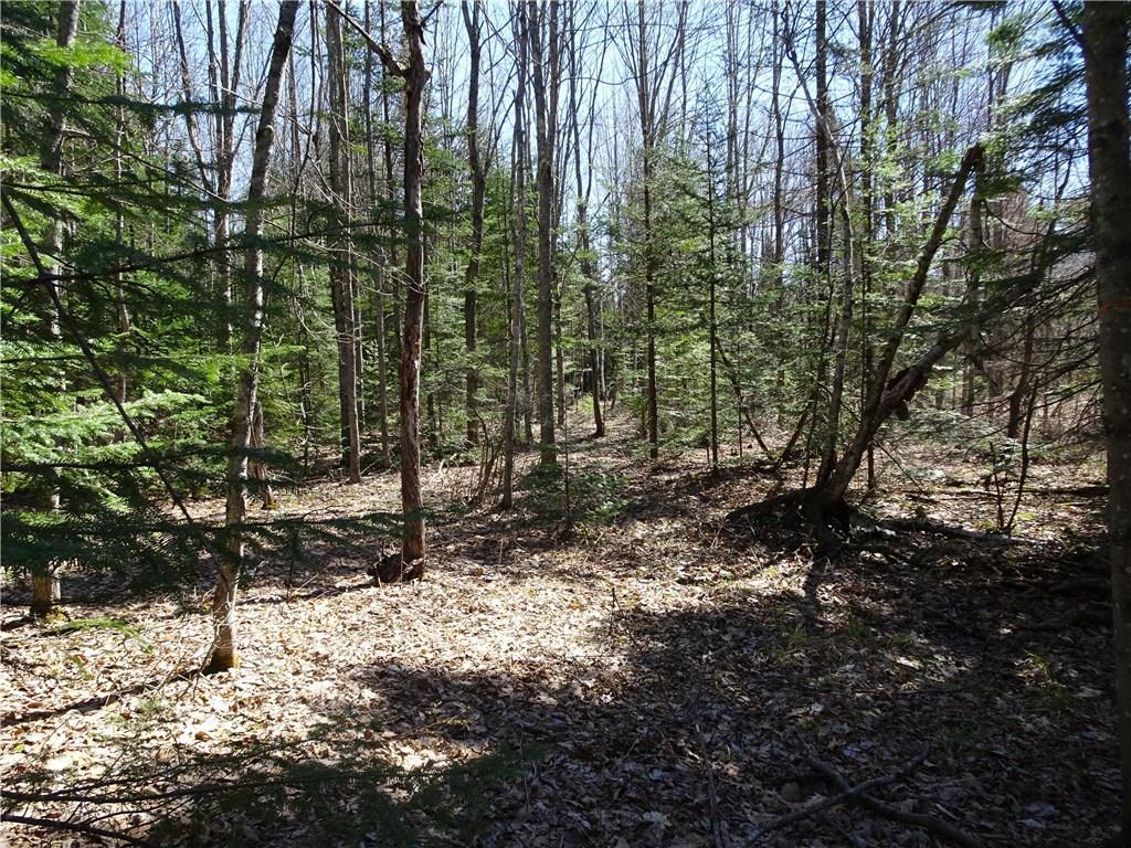-lot Poland Range Road Pownal, ME 04069 - Photo 8 of 15 Photo