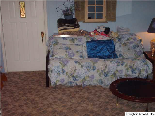 306 Janney Road Ohatchee, AL 36271 - Photo 10 of 31