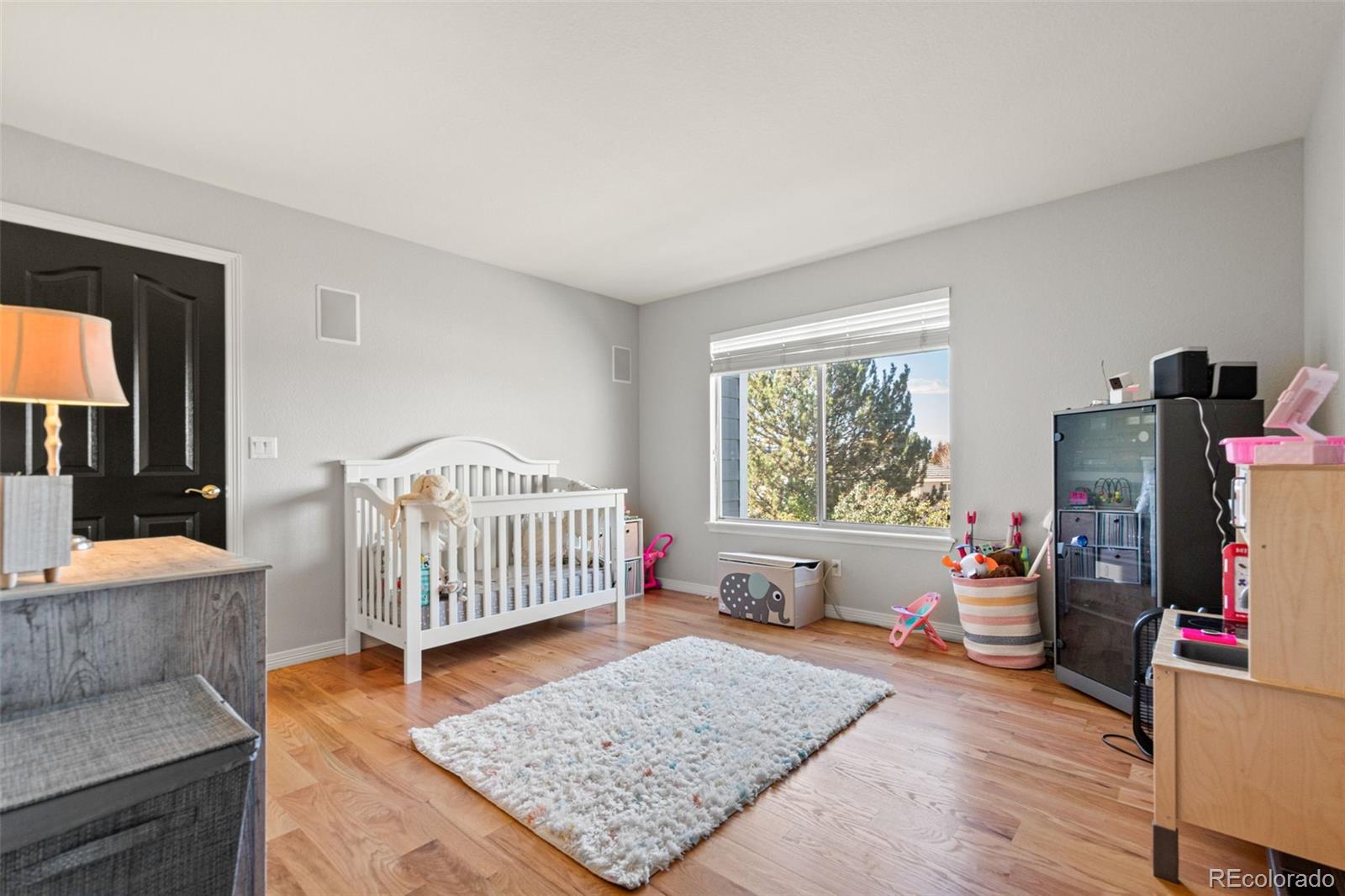2061 Hyacinth Road Highlands Ranch, CO 80129 - Photo 36 of 49 Gallery Image 36