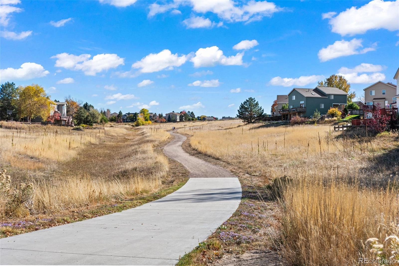 2061 Hyacinth Road Highlands Ranch, CO 80129 - Photo 46 of 49 Gallery Image 46