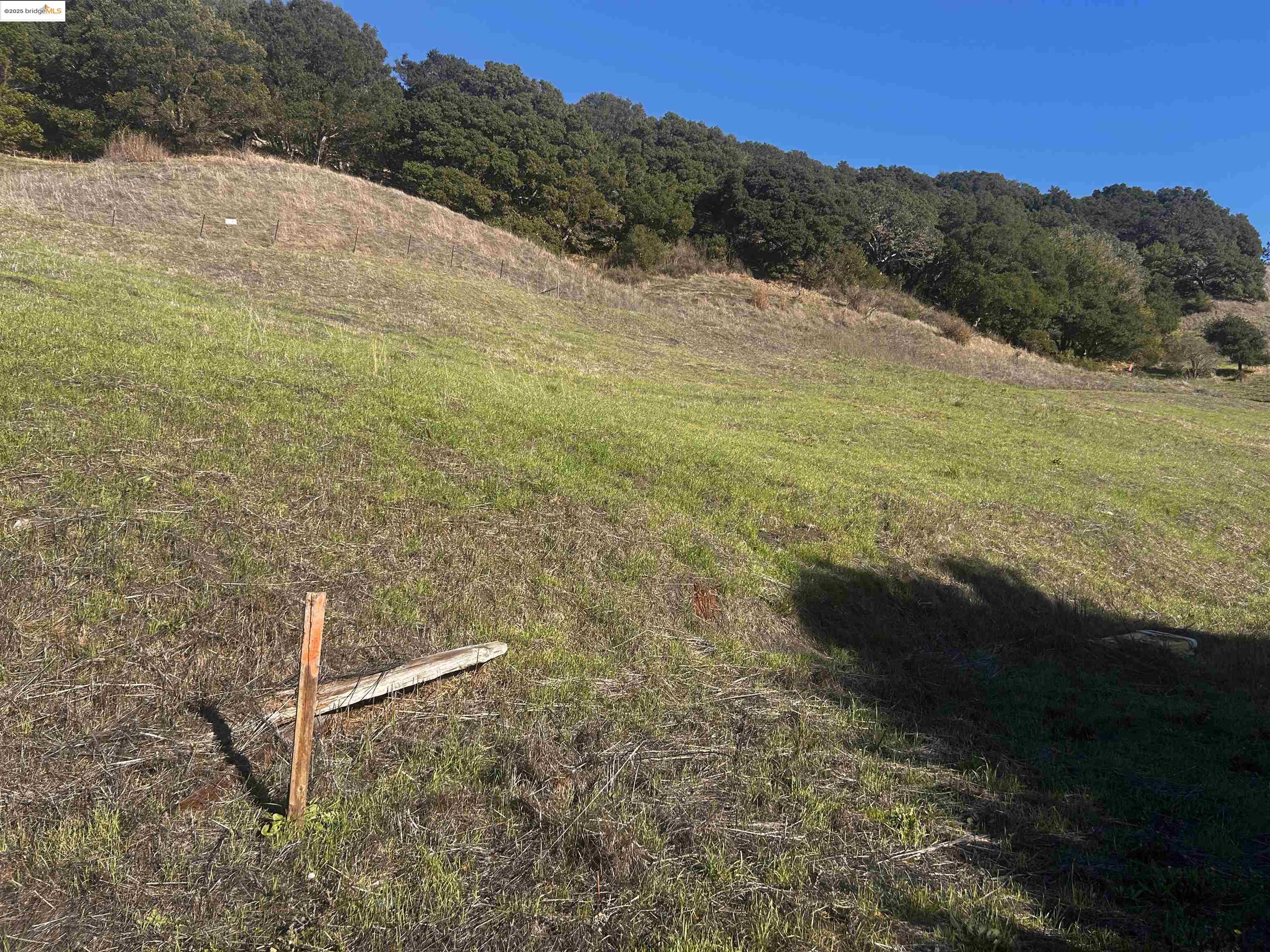 7 Abbey Lane El Sobrante, CA 94803 - Photo 11 of 13 a view of a yard with an outdoor space