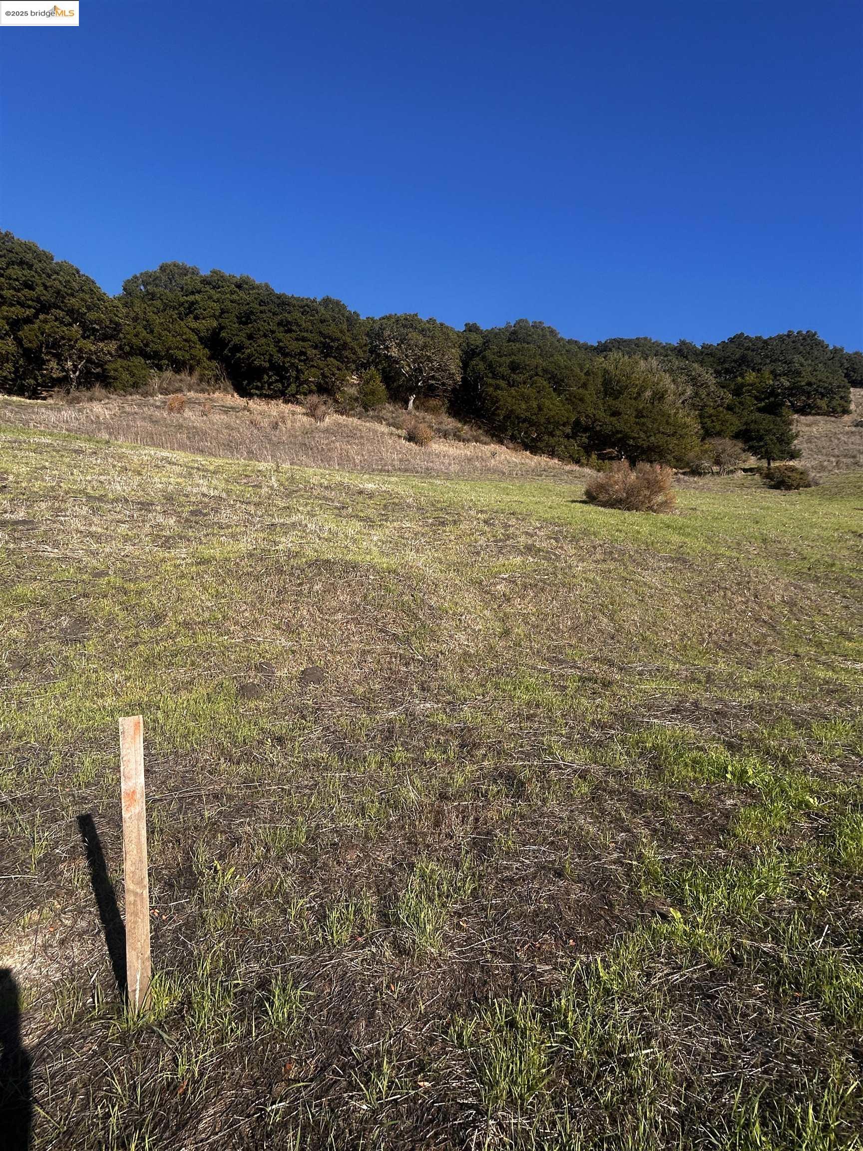 7 Abbey Lane El Sobrante, CA 94803 - Photo 8 of 13 a view of ocean view with beach