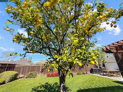 $778,000 | 2164 Dena Drive, Concord, CA 94519