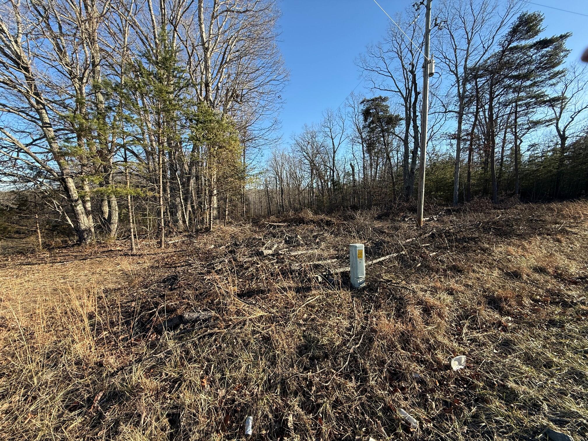 Lot 2 Lovely Valley Road Wirtz, VA 24184 - Photo 4 of 9 a view of outdoor space with trees