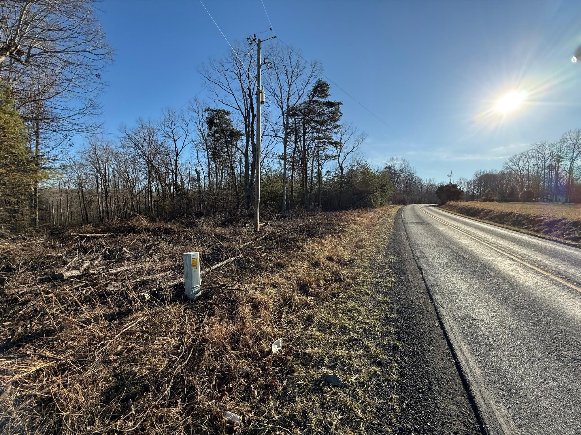 Lot 2 Lovely Valley Road Wirtz, VA 24184 - Photo 6 of 9 a view of a yard