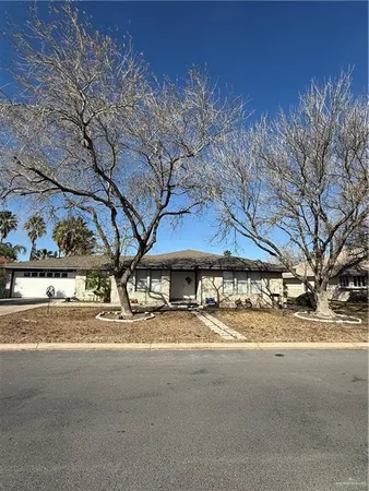 a street view with large trees
