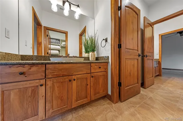 a bathroom with a sink a mirror and a shower