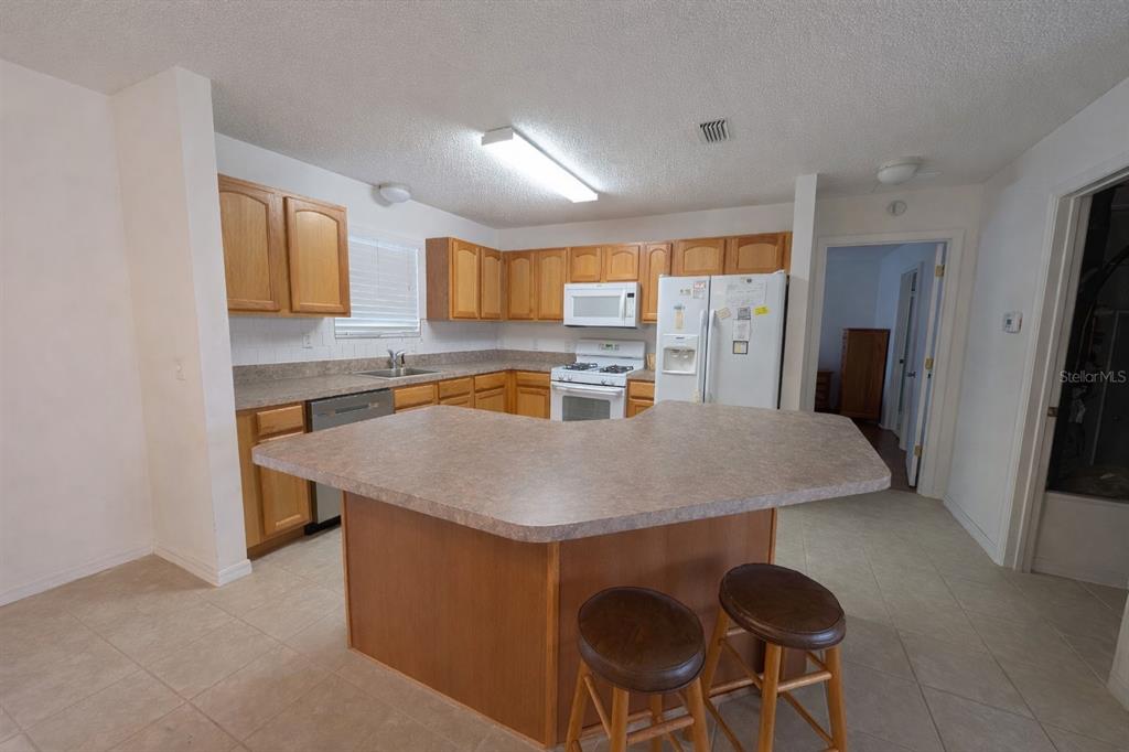 1369 Suffield Street The Villages, FL 32162 - Photo 4 of 14