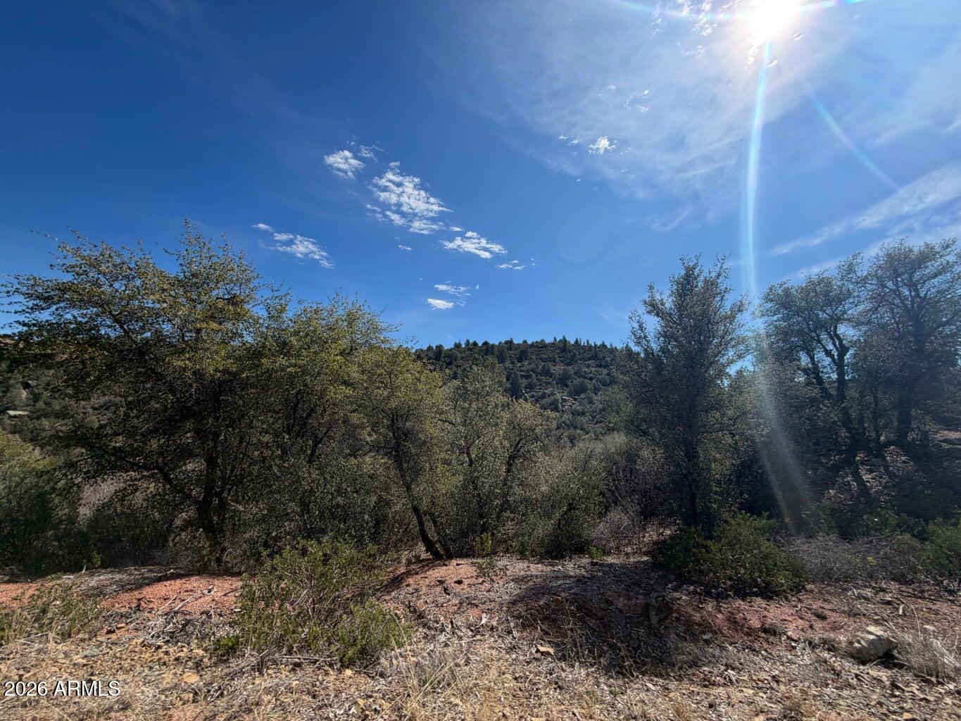 161 West Gene Drive, Unit 15 Payson, AZ 85541 - Photo 9 of 18 a view of a yard with a house in the background