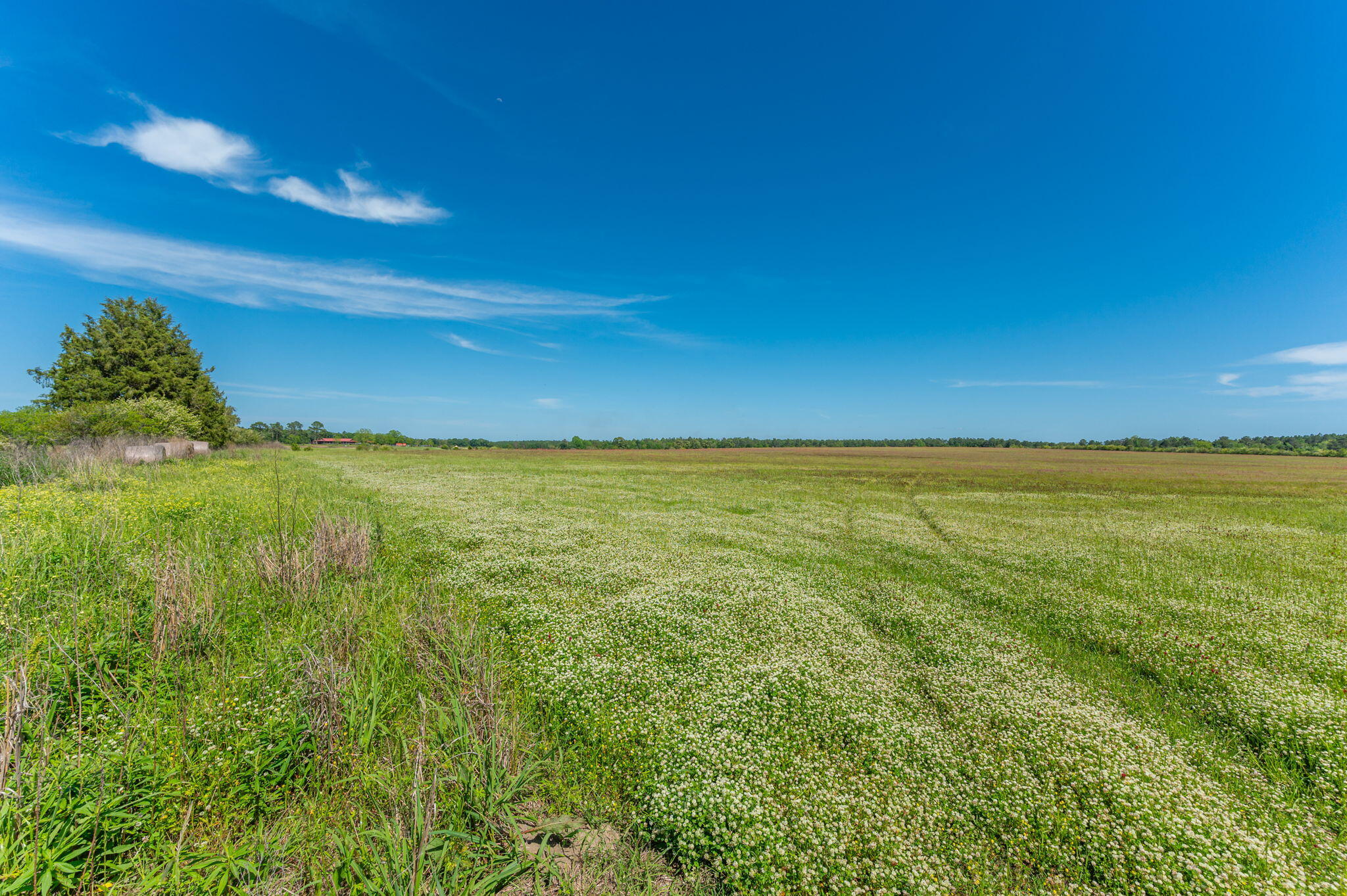 0 Adams Drive DeFuniak Springs, FL 32433 - Photo 11 of 30 10-web-or-mls-adams-dr-lot-2 - Copy