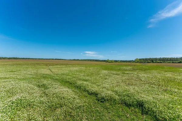 $355,894 | Parcel B Adams Drive, DeFuniak Springs, FL 32433