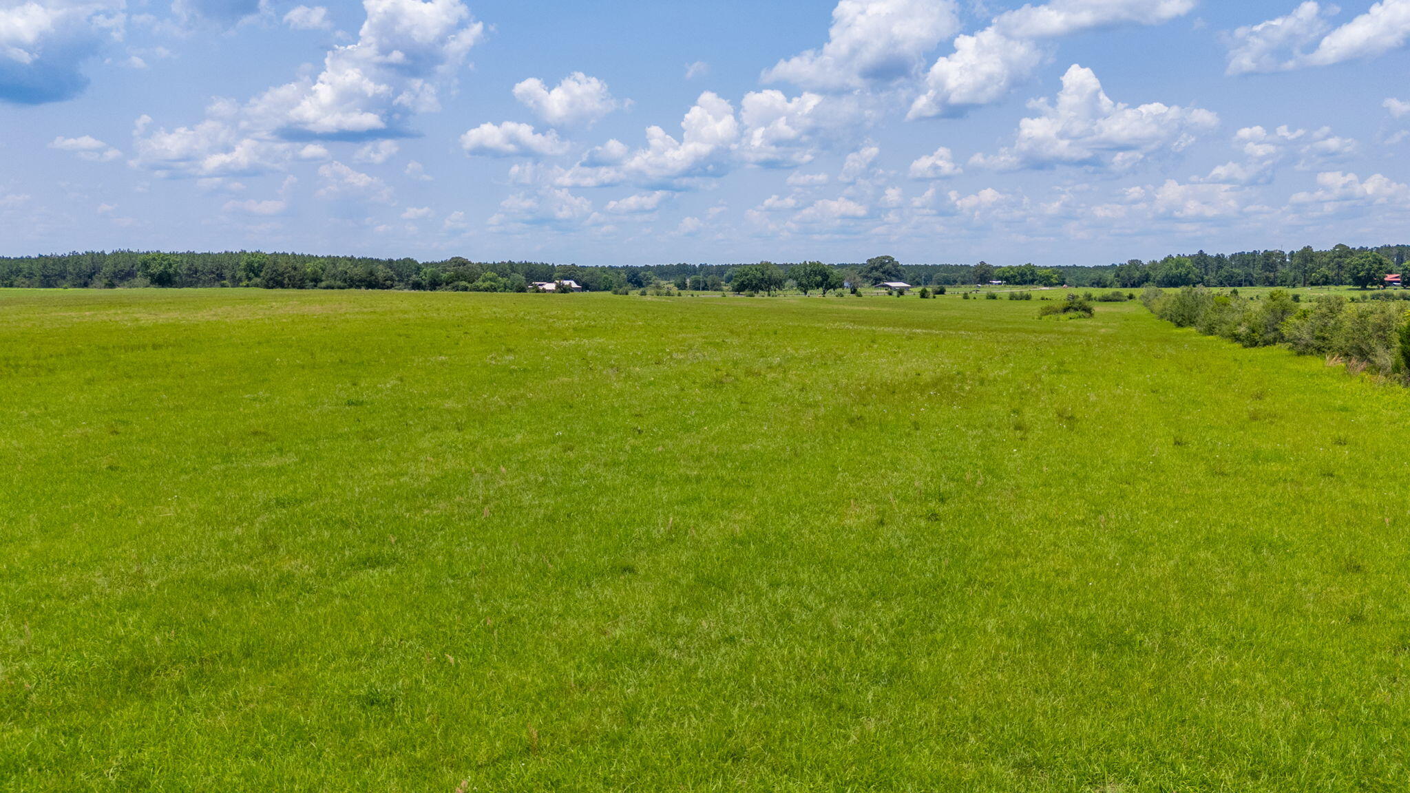 0 Adams Drive DeFuniak Springs, FL 32433 - Photo 14 of 30 34-web-or-mls-adams-dr-lot-2 - Copy