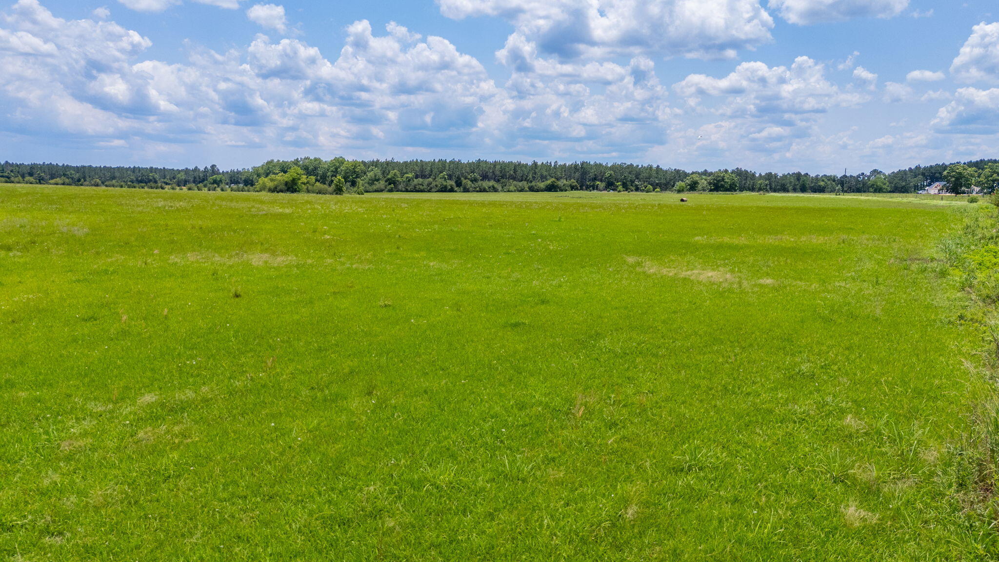 0 Adams Drive DeFuniak Springs, FL 32433 - Photo 20 of 30 38-web-or-mls-adams-dr-lot-2