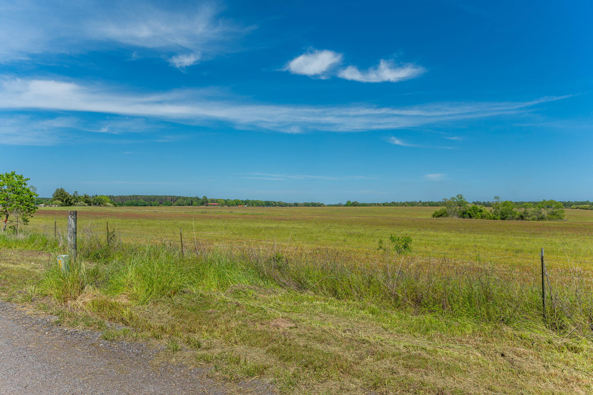 0 Adams Drive DeFuniak Springs, FL 32433 - Photo 8 of 30 19-web-or-mls-adams-dr-lot-2