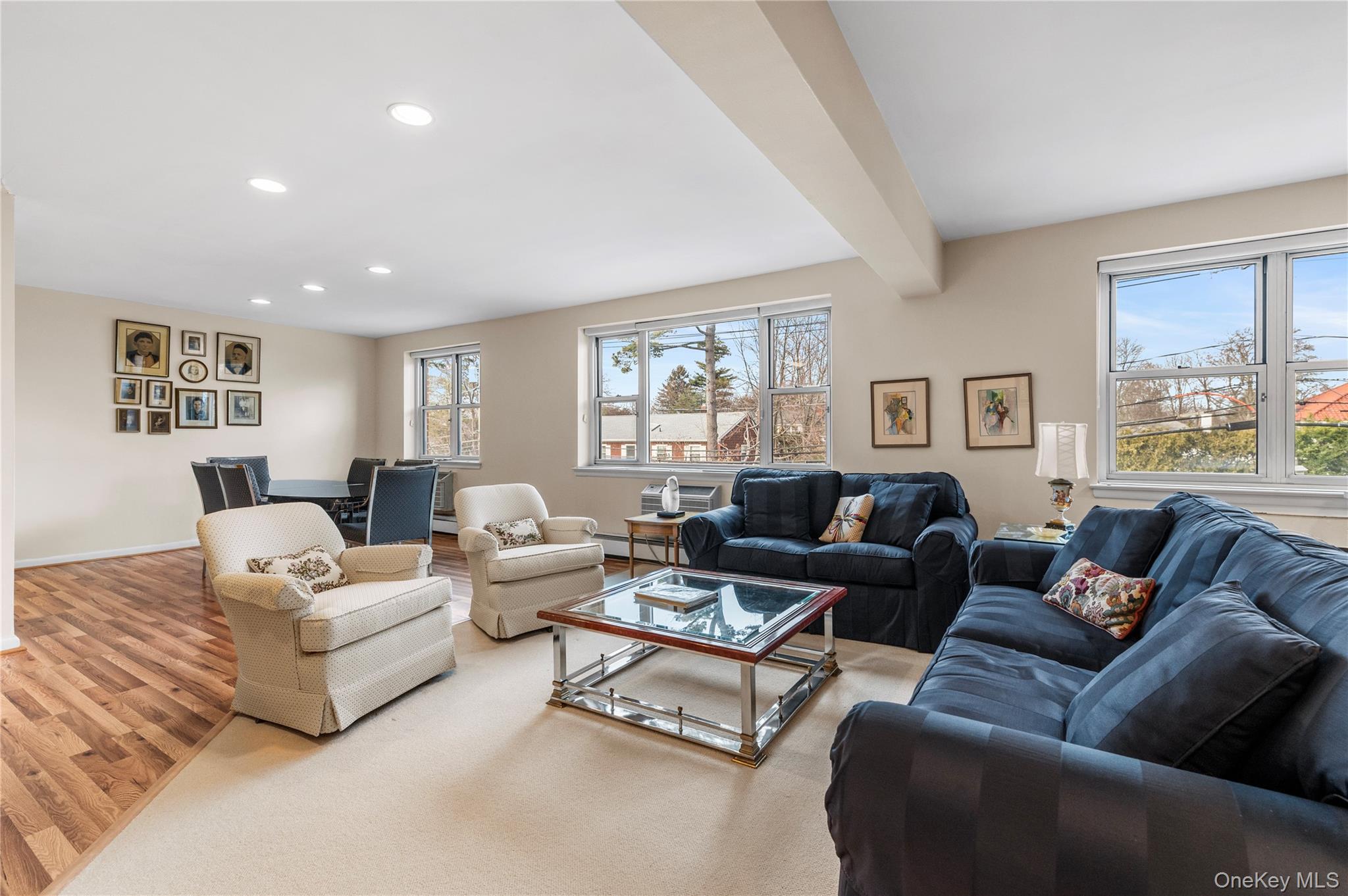 25 Chapel Place, Unit 2L Great Neck, NY 11021 - Photo 13 of 25 a living room with furniture and a large window