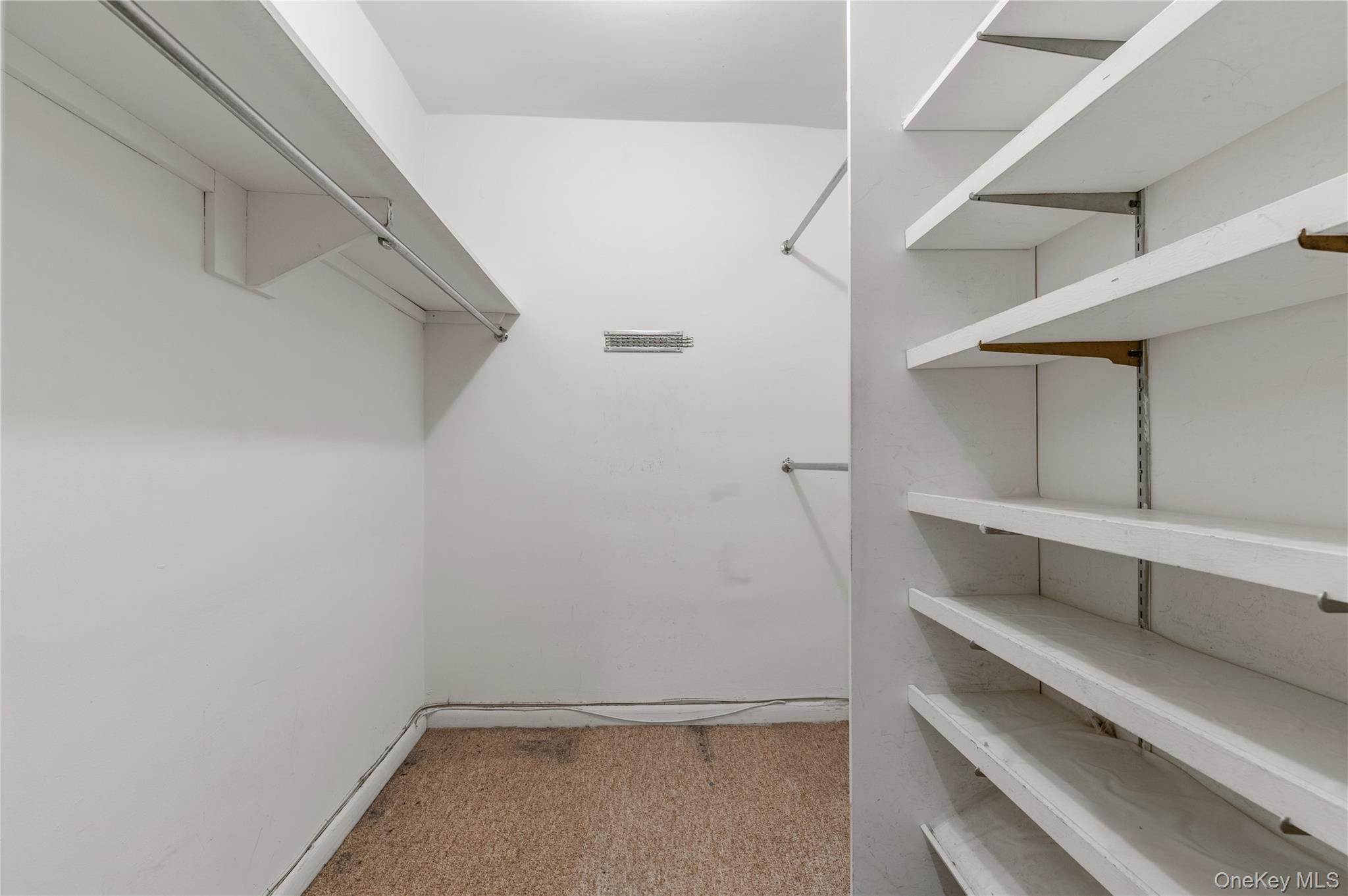 25 Chapel Place, Unit 2L Great Neck, NY 11021 - Photo 21 of 25 a view of an empty walk in closet