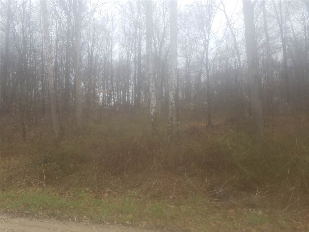 0 Protagorus Poland, IN 47868 - Photo 2 of 3