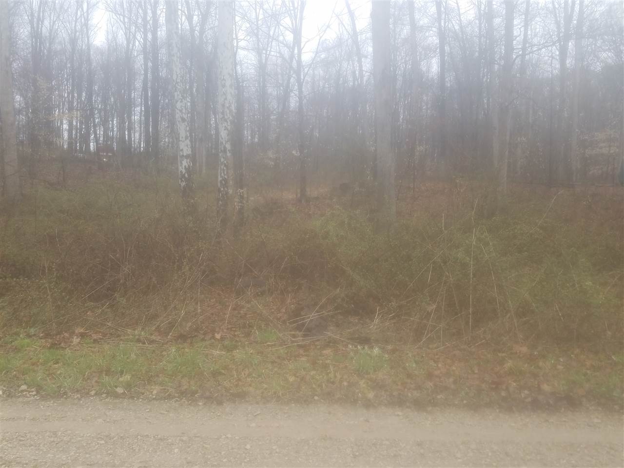 0 Protagorus Poland, IN 47868 - Photo 3 of 3